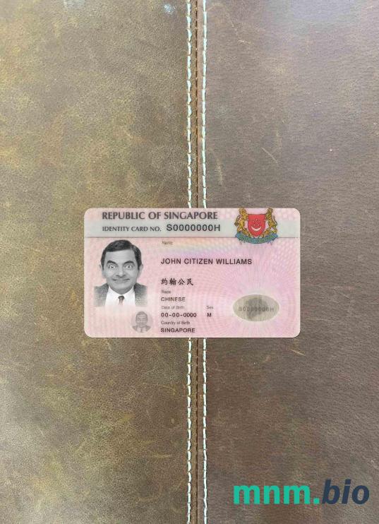 Singapur ID (zaktualizowany) fotowygląd szablon PSD